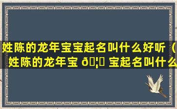 姓陈的龙年宝宝起名叫什么好听（姓陈的龙年宝 🦄 宝起名叫什么好听一点）